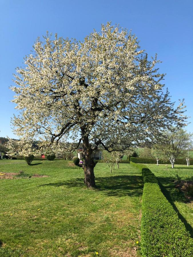 Ferienwohnung „Schau Ins Frankenland“ Burgpreppach Esterno foto